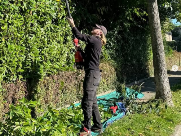 Tuinhuis laten plaatsen Asse, Vlaams-Brabant